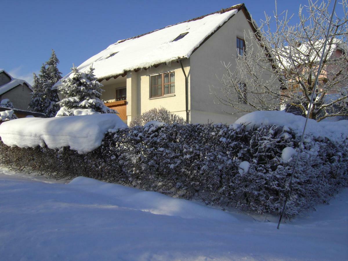Ferienwohnung "Am Muschwitztal" Bad Steben / Carlsgrun エクステリア 写真